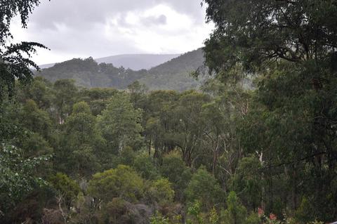 The Parrots Nest Mountain Hideaway