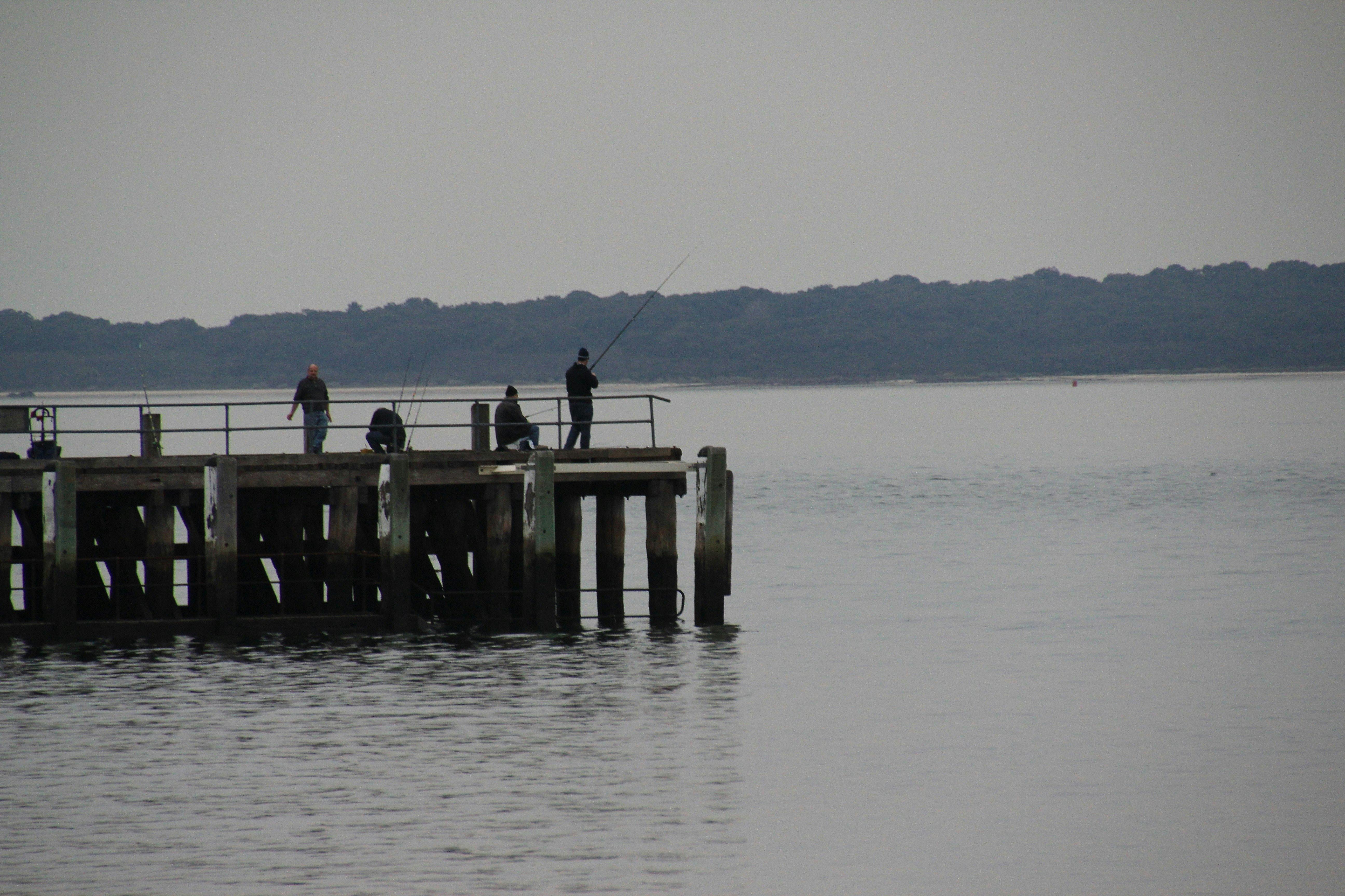 Stony Point Pier, Crib Point