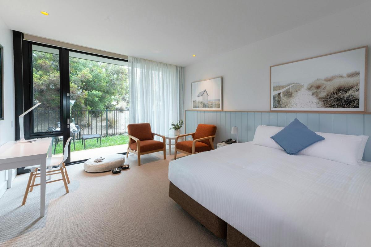 dog friendly room with terrace