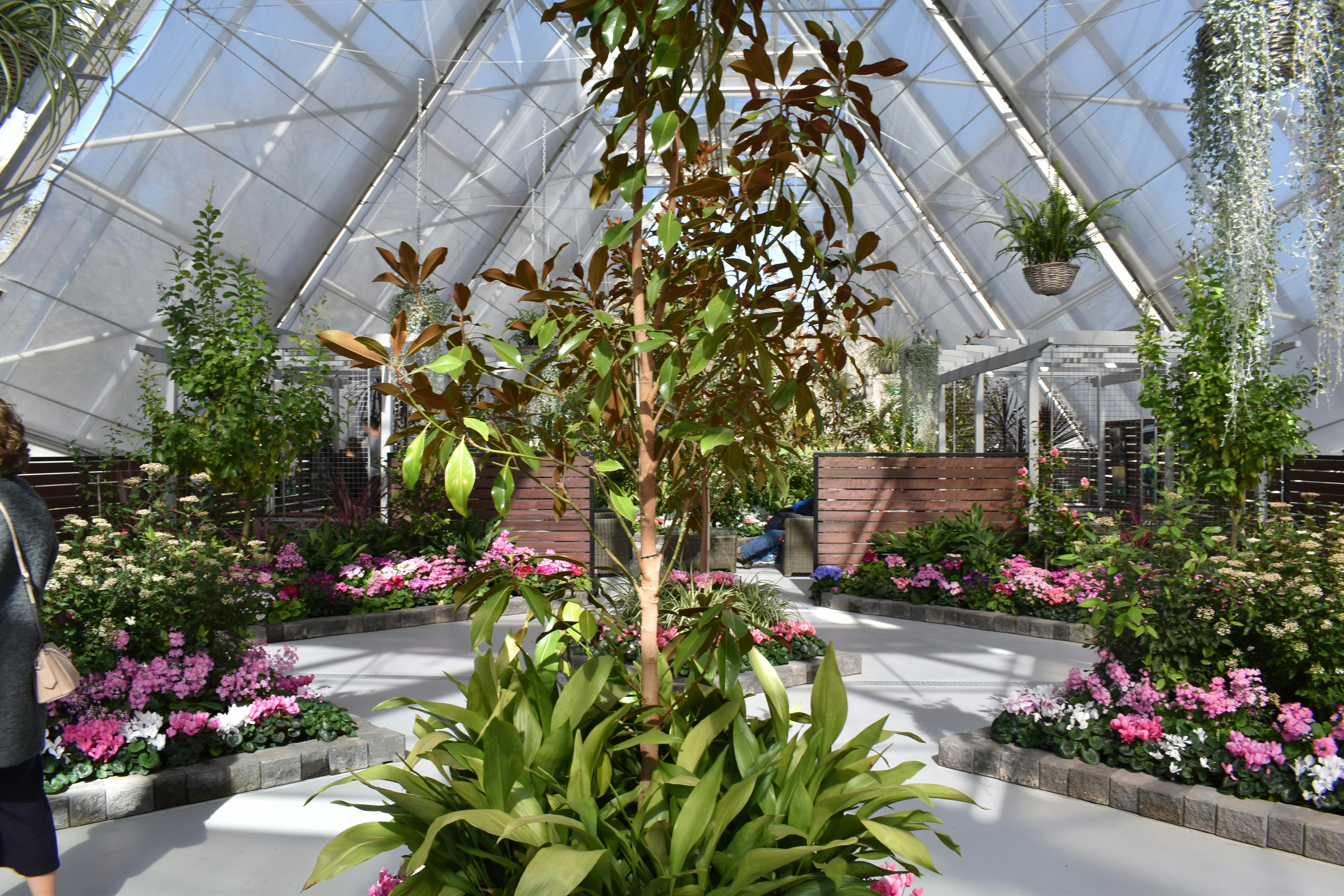 Photo of plant display in centre of Conservatory