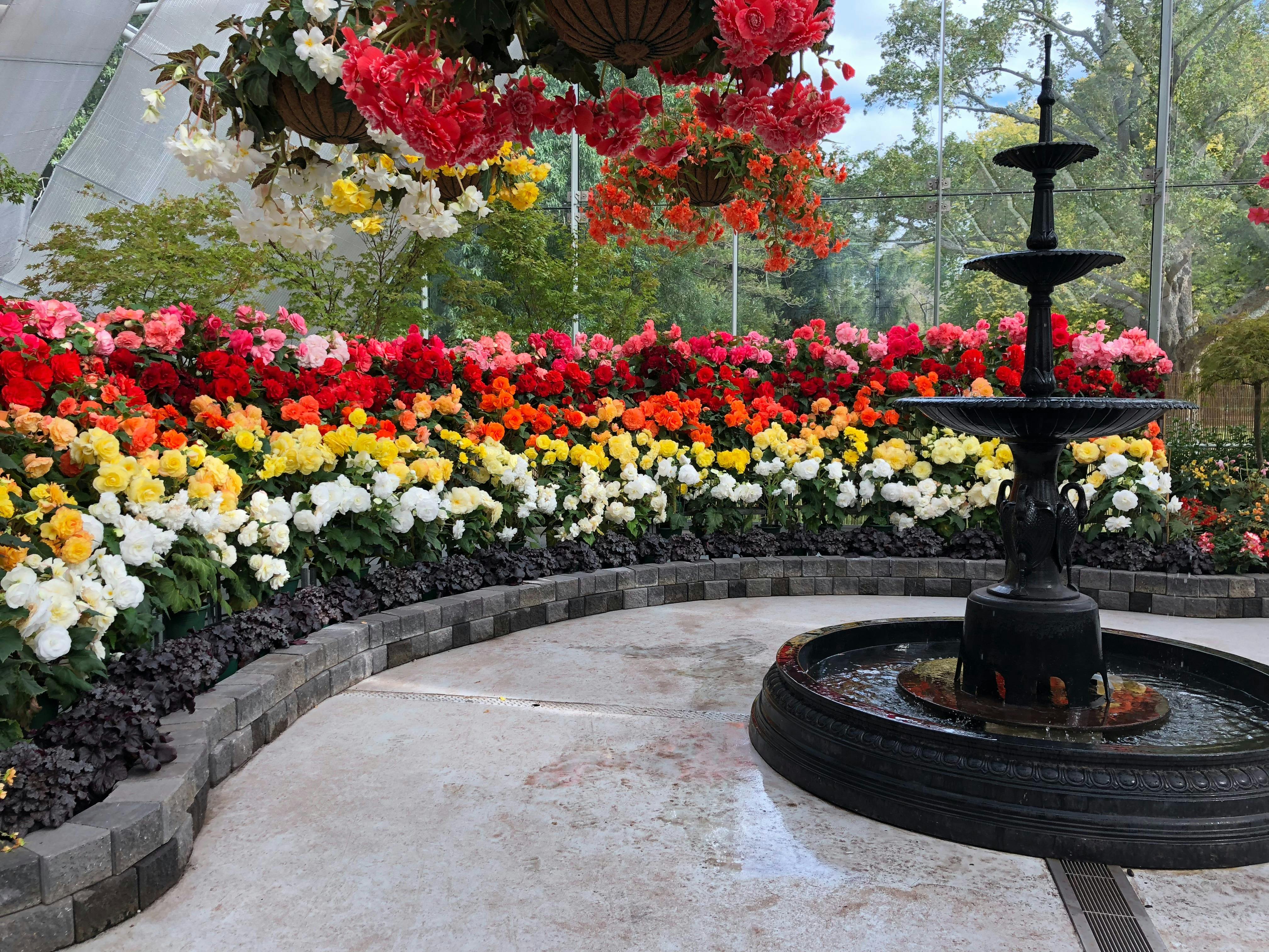Photo of floral display and fountain inside the Conservatory