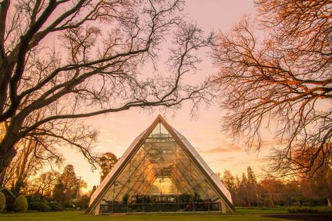 The Robert Clark Conservatory