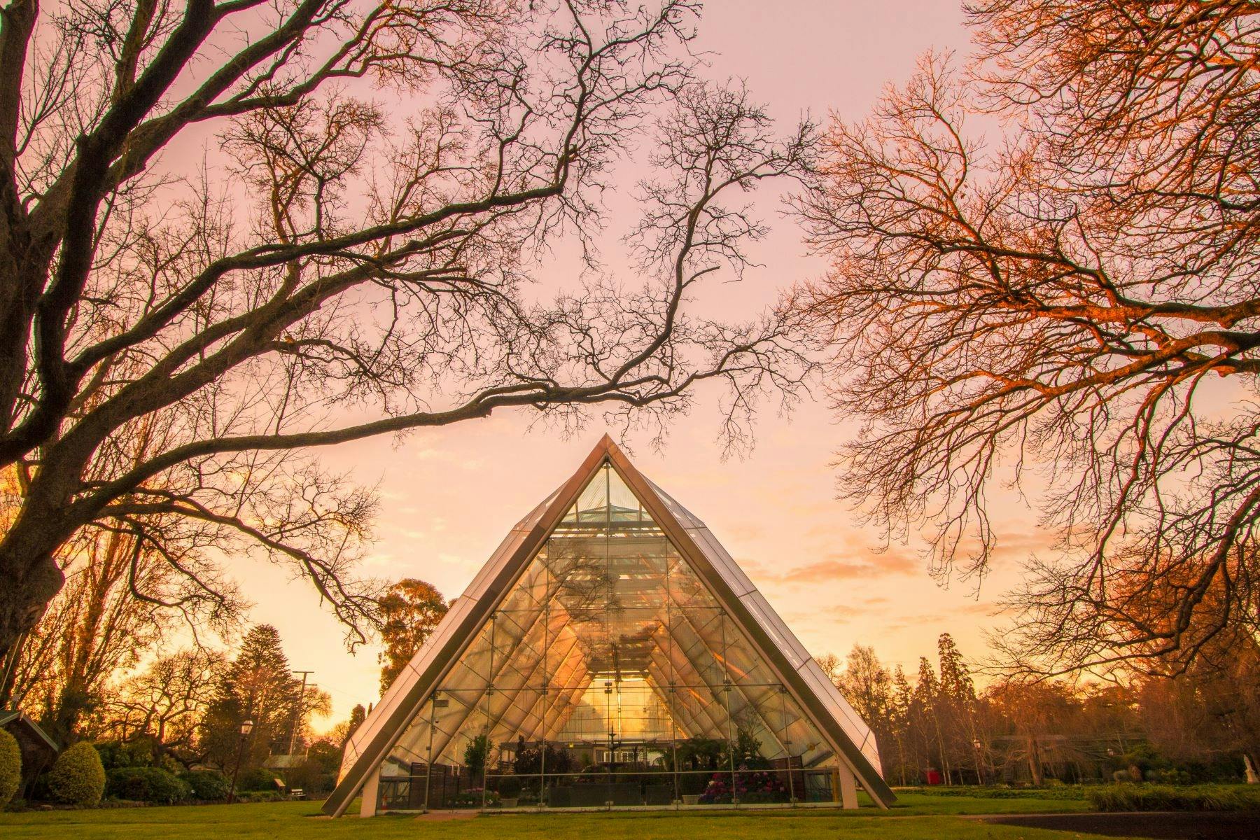 The Robert Clark Conservatory