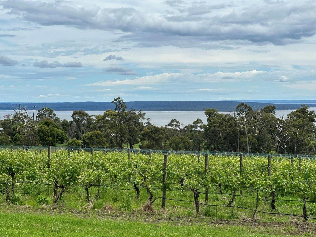 The Gurdies Winery