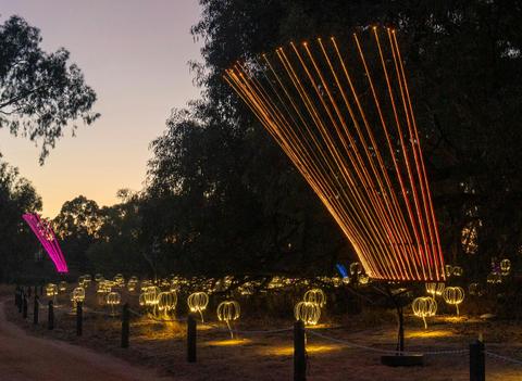Trail of Lights