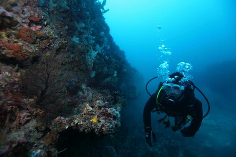 Twelve Apostles Marine National Park