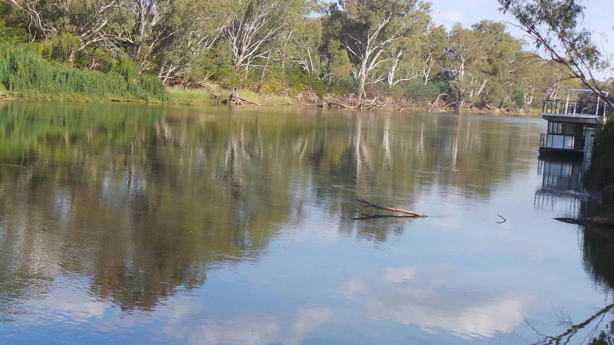 Willows Reserve Wahgunyah Murray River