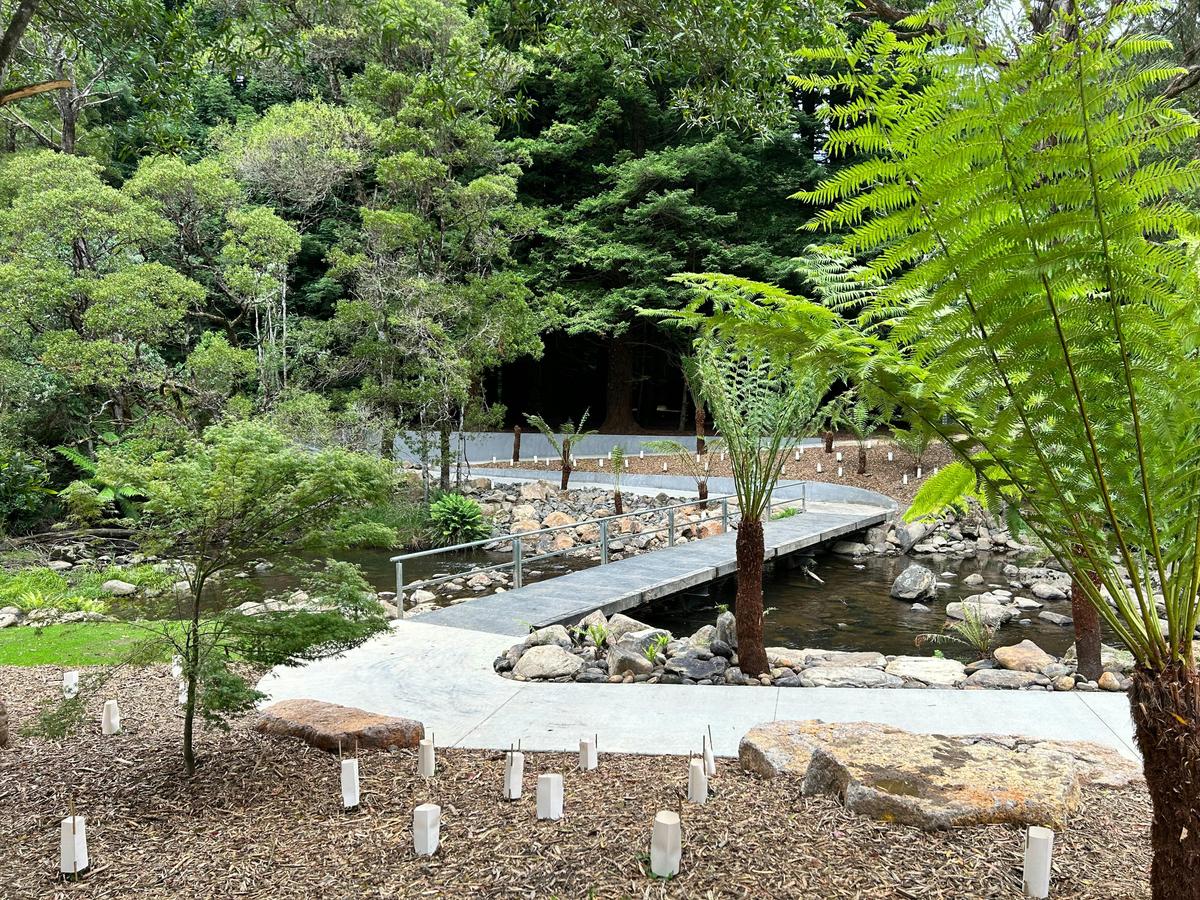 Stevensons Falls Walkway