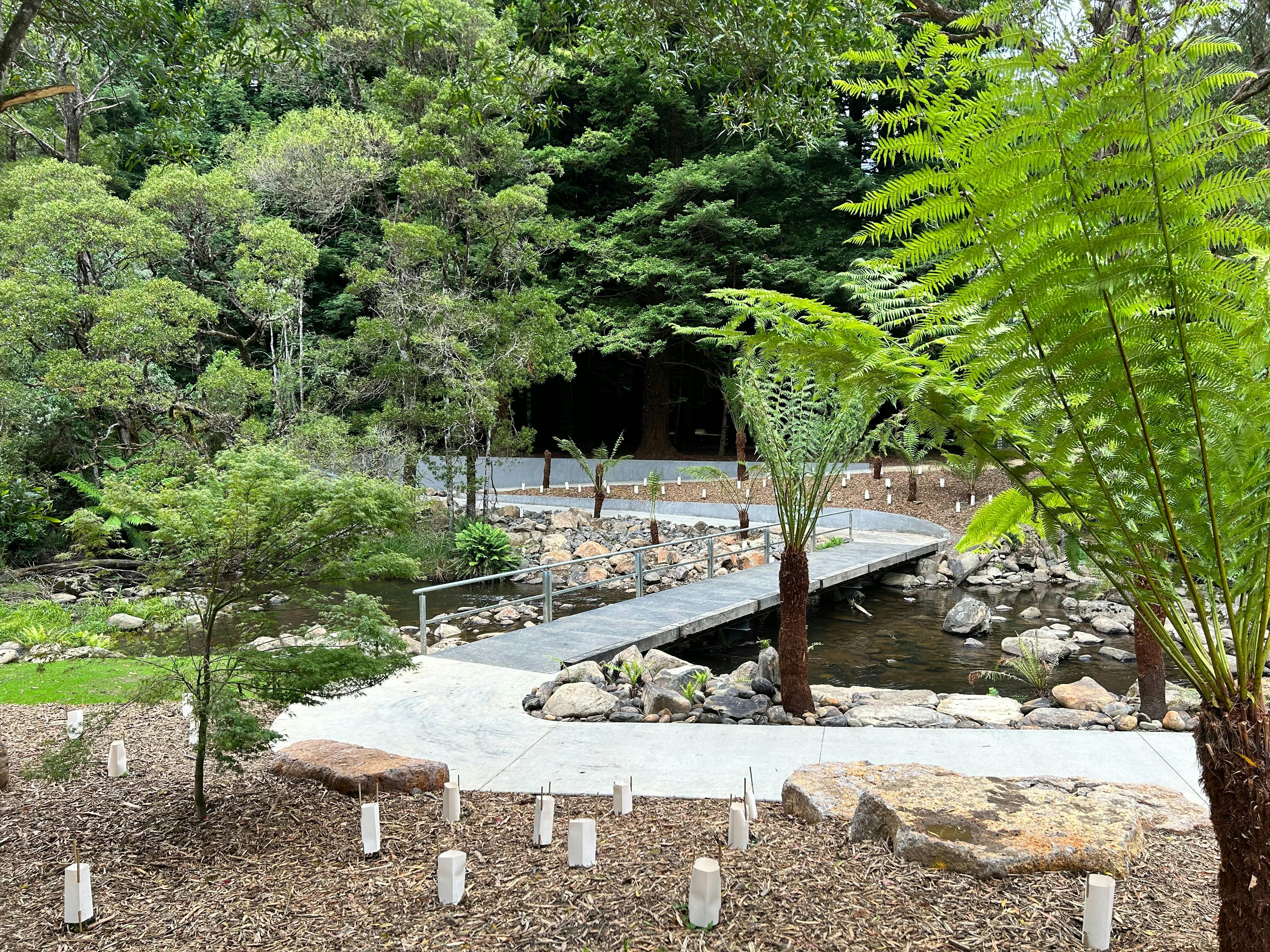 Stevensons Falls Walkway