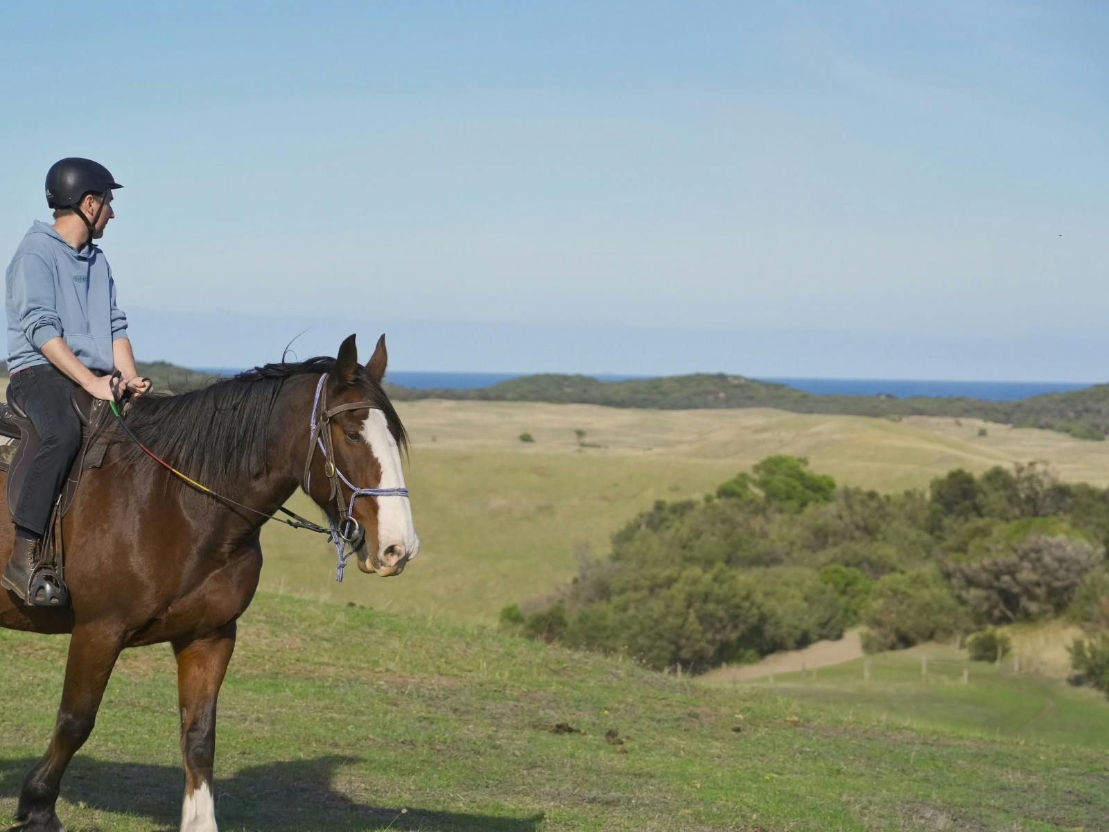Ocean View Trail Rides