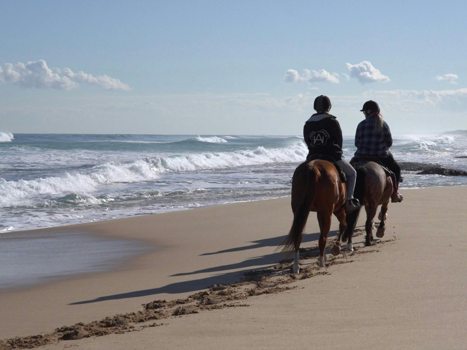 Bush n Beach Ride for Experienced & Strong  Intermidiate Riders