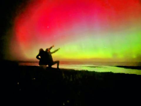 The Wandering Whale Port Fairy