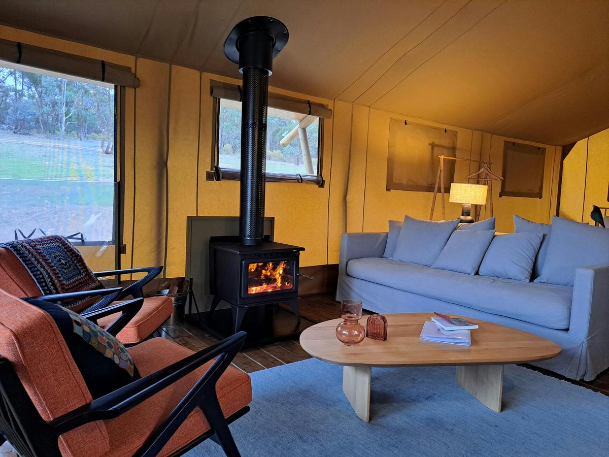 Cosy Wood burners