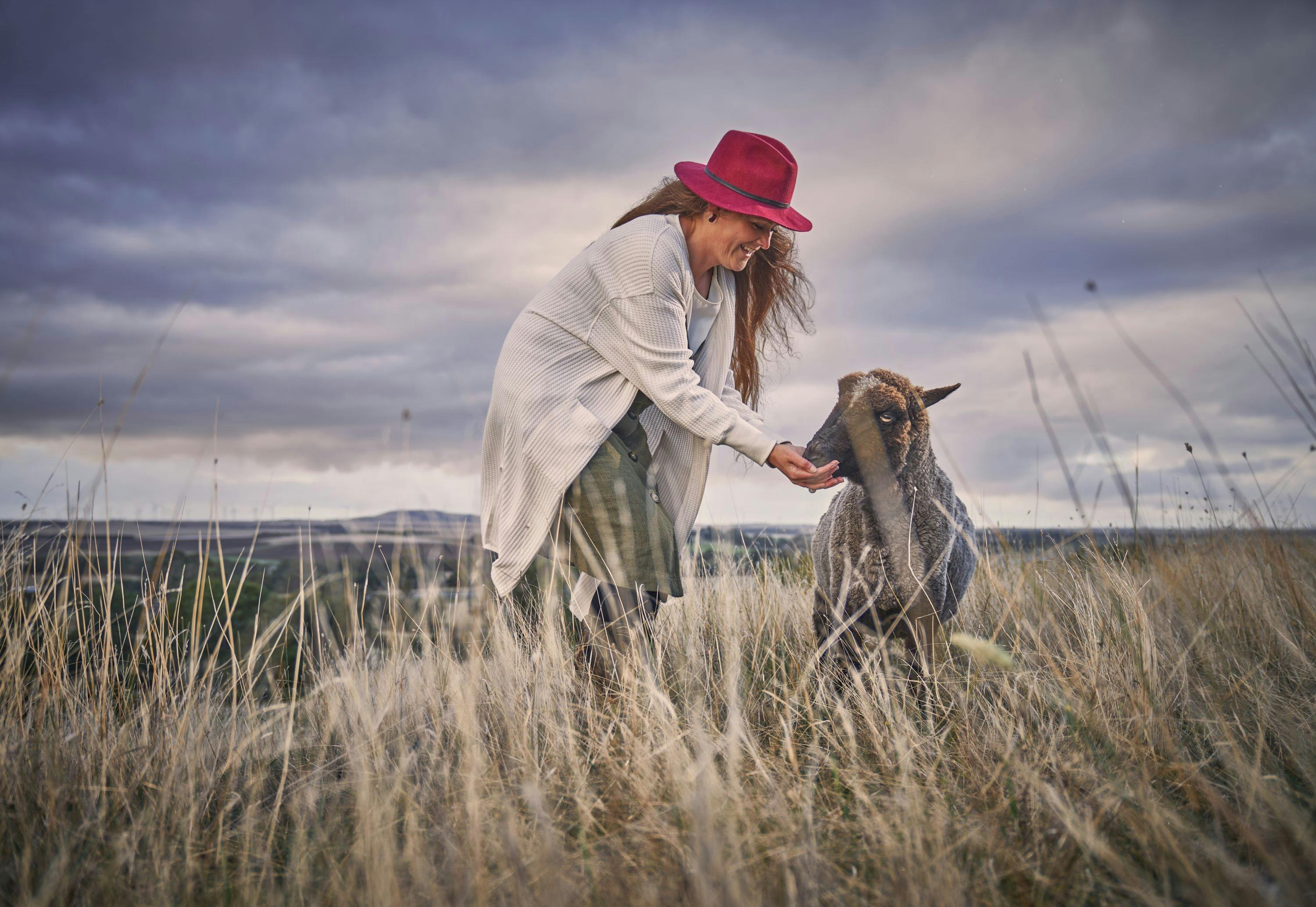 Meet the Polwarth sheep who grow the yarn