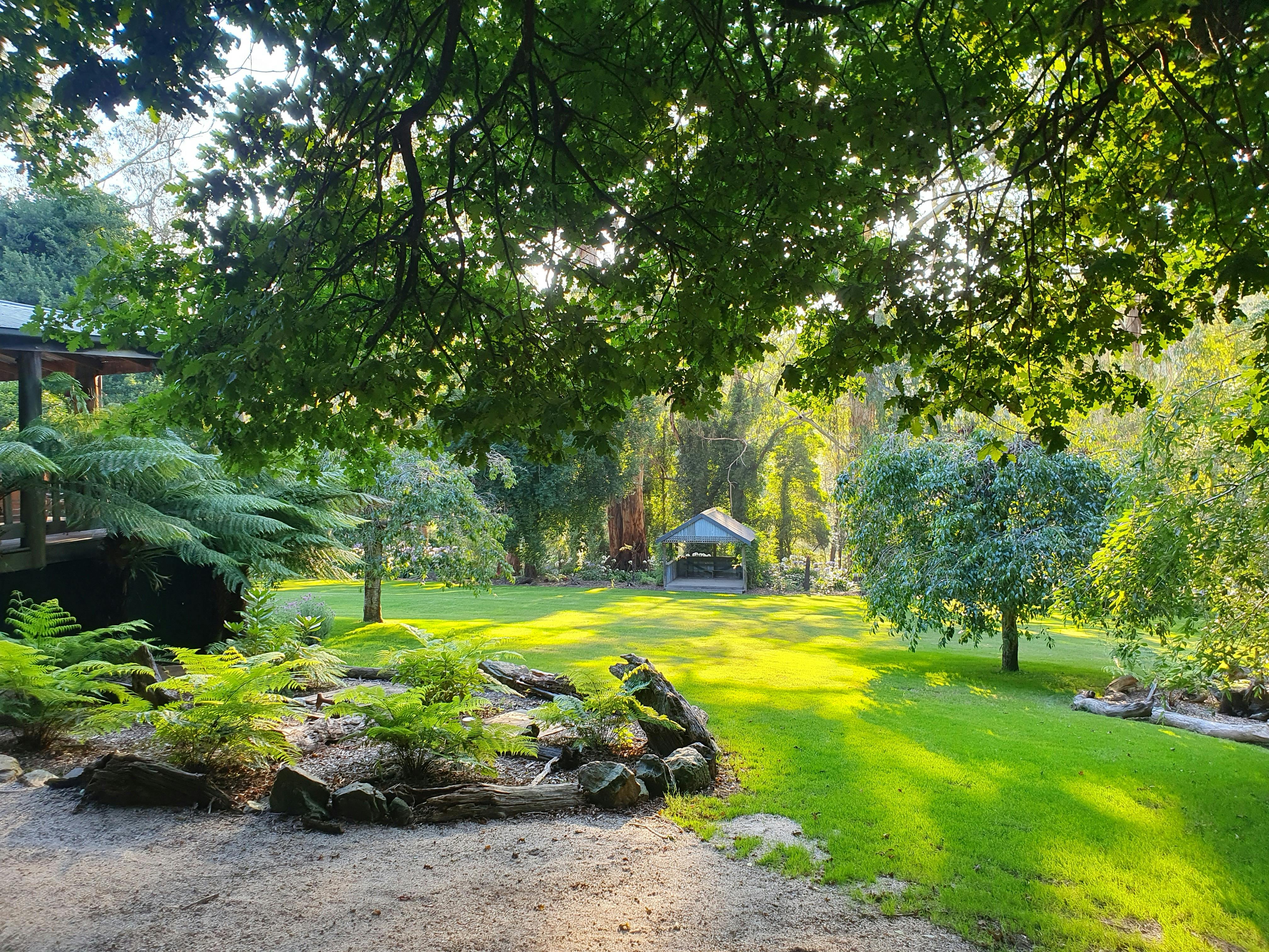 Around the Toolshed Grounds