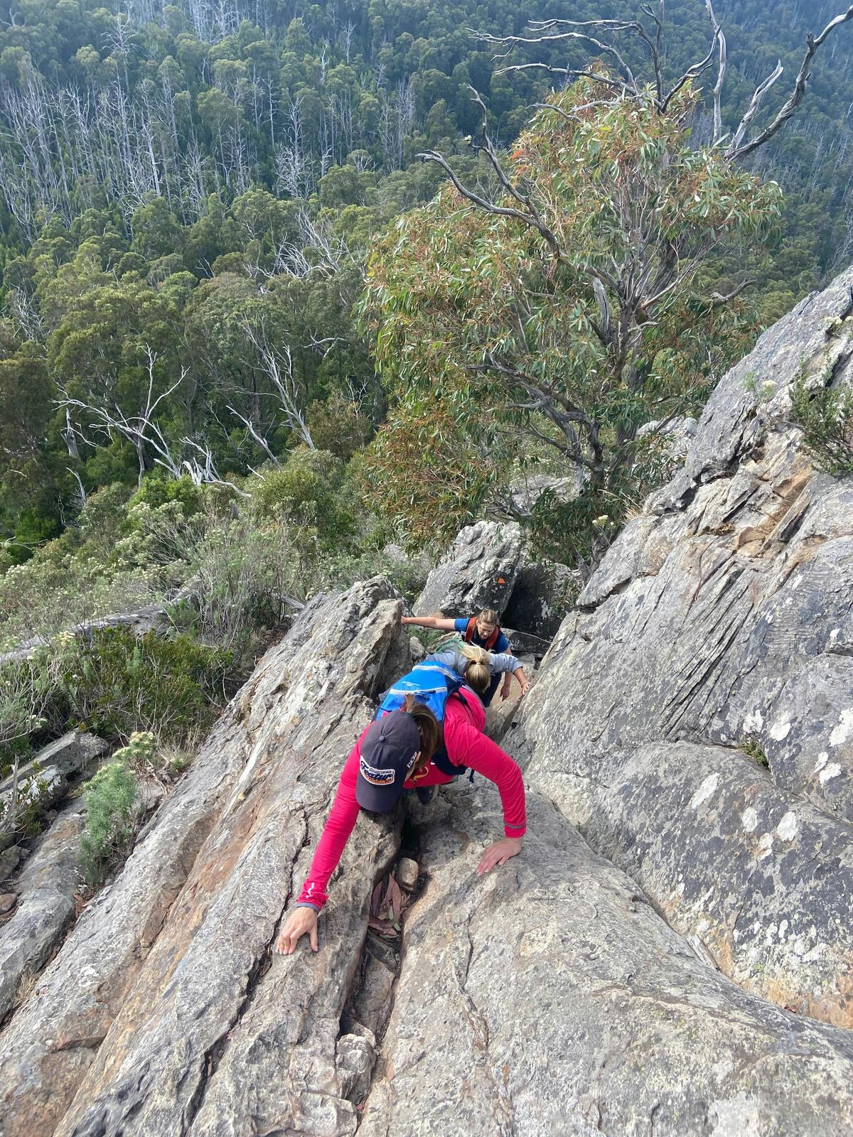 Canyon Track
