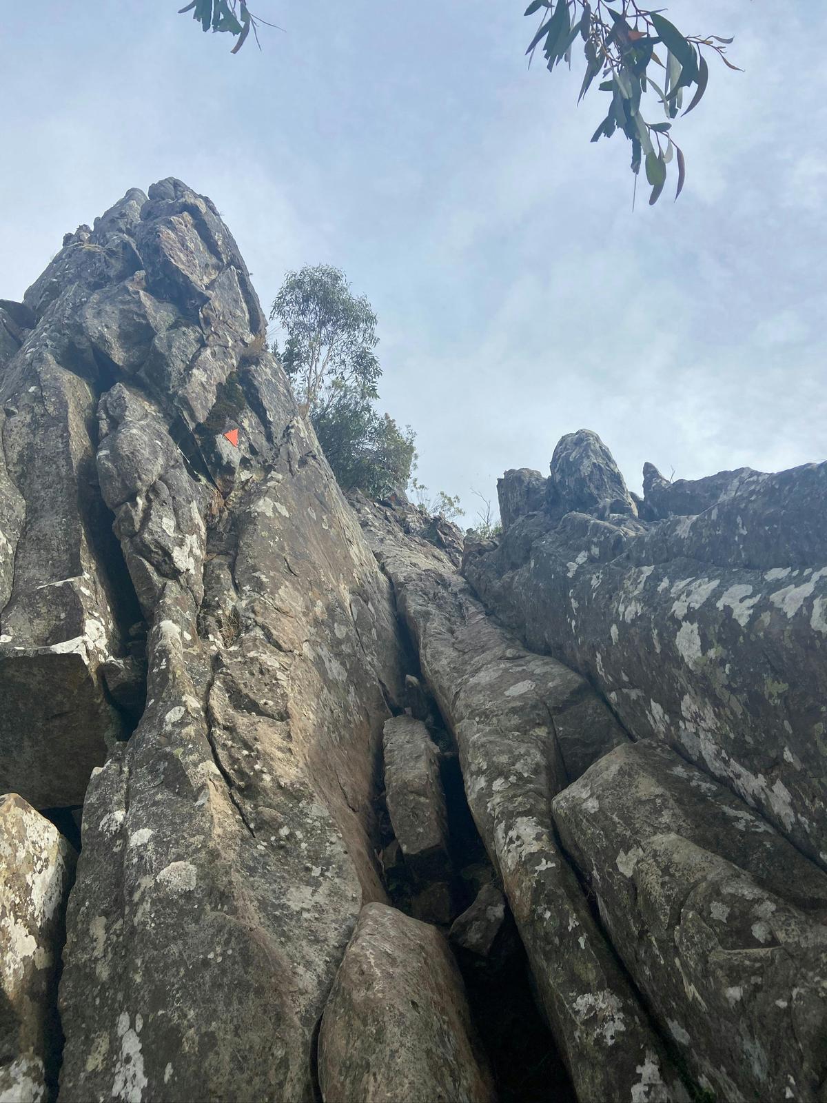 Canyon Track