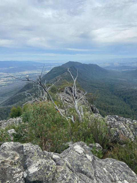 Wells Cave Track Loop