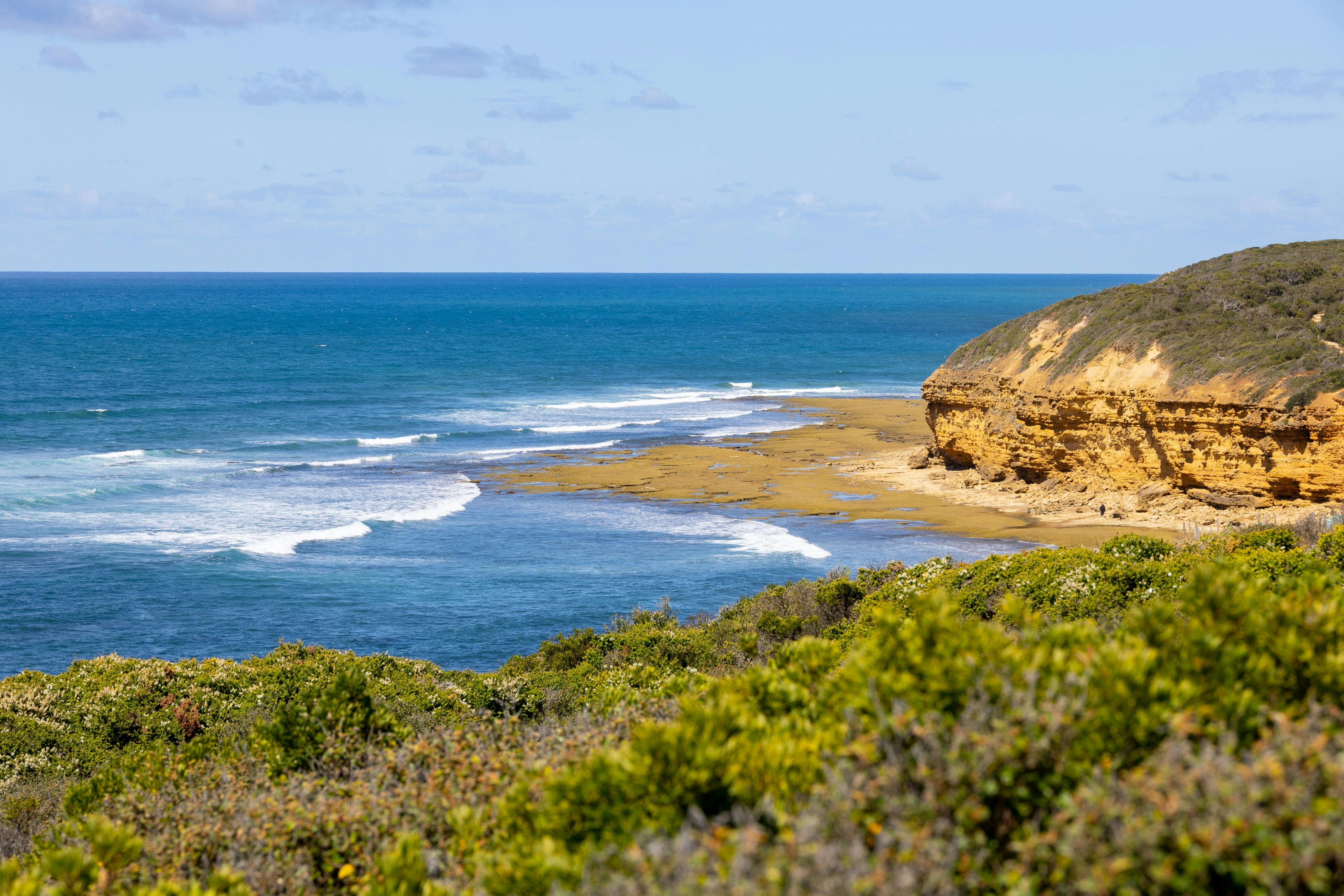 Bells Beach Tasman Holiday Parks - Geelong
