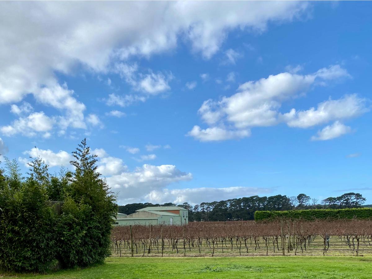 Winter At The Winery