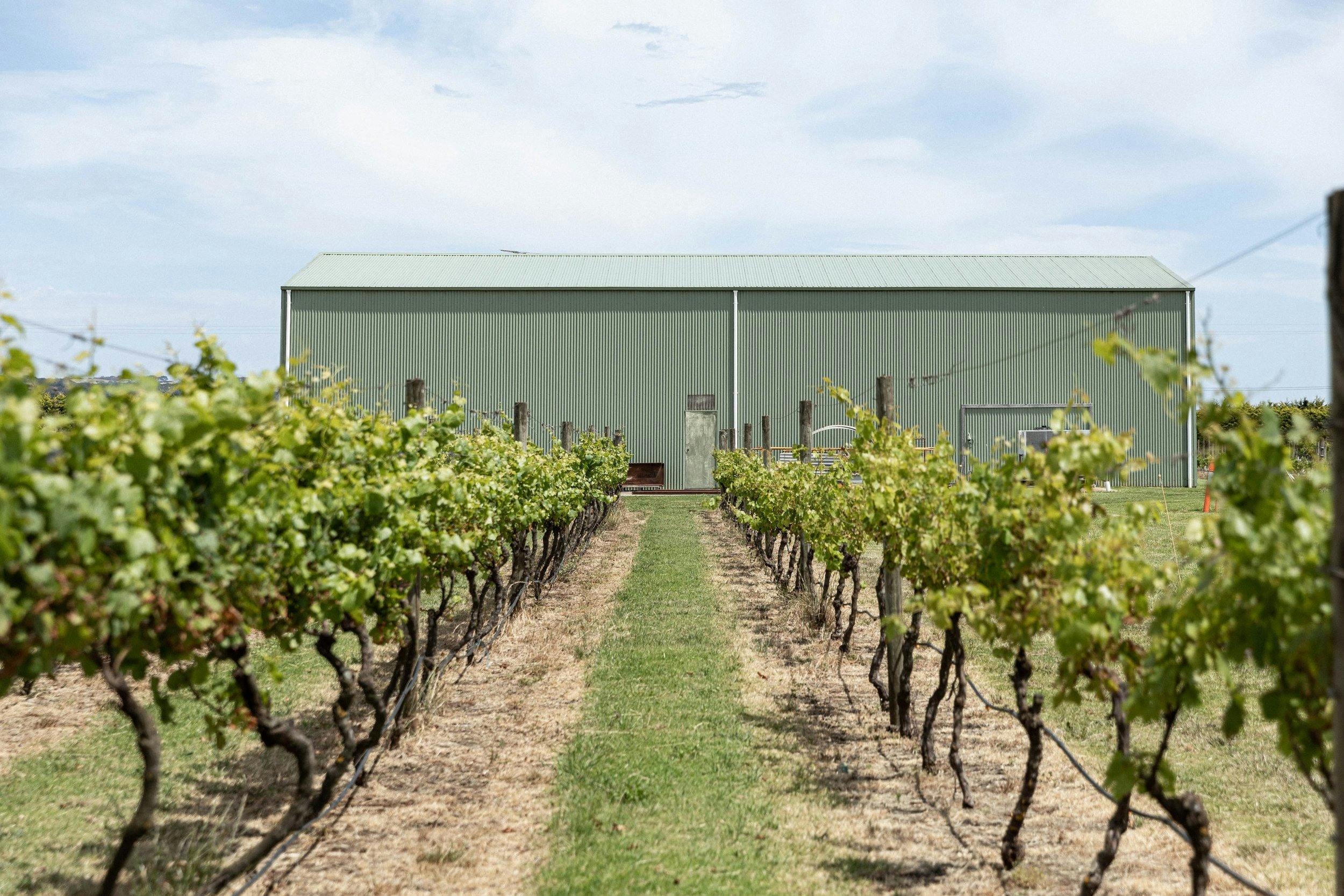Tallarida Winery and Vineyard