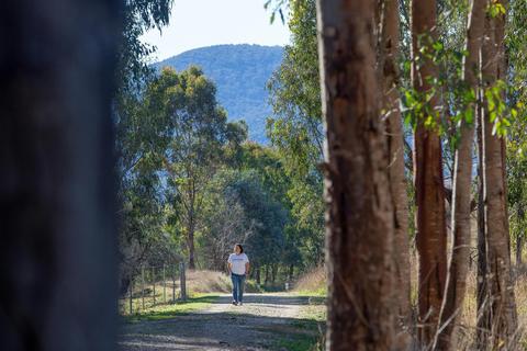 Tallangatta to Old Tallangatta Stroll