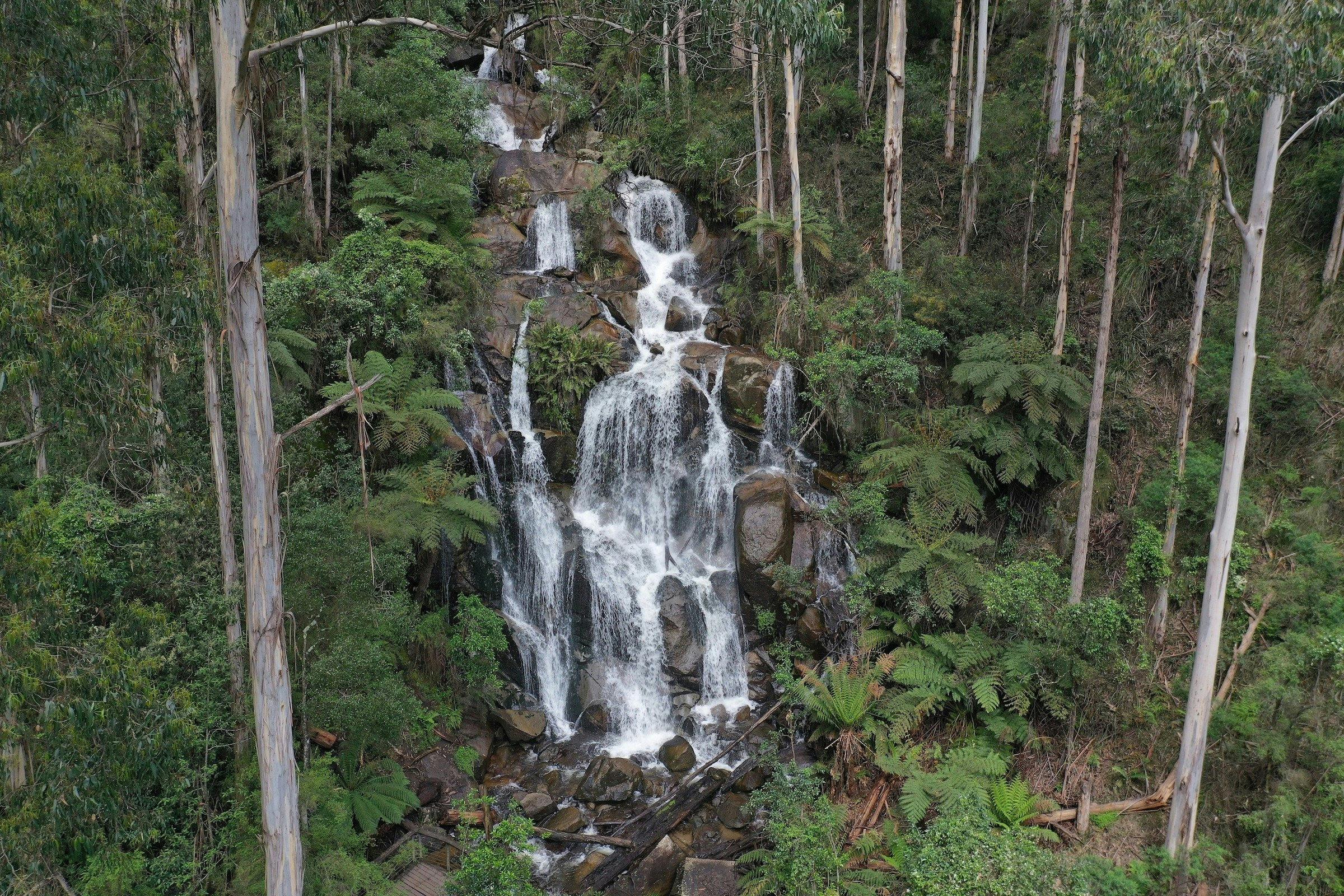 Toorongo Falls