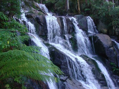 Toorongo Falls