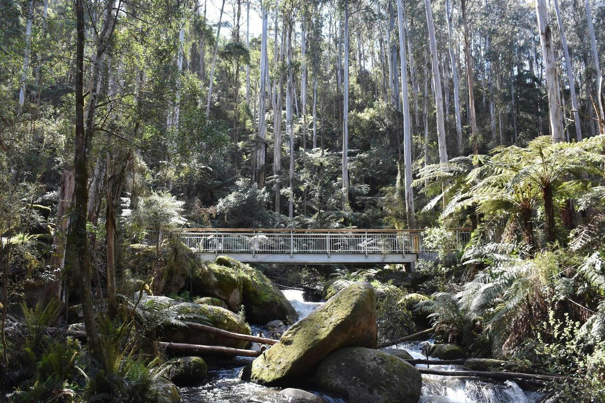 Toorongo River
