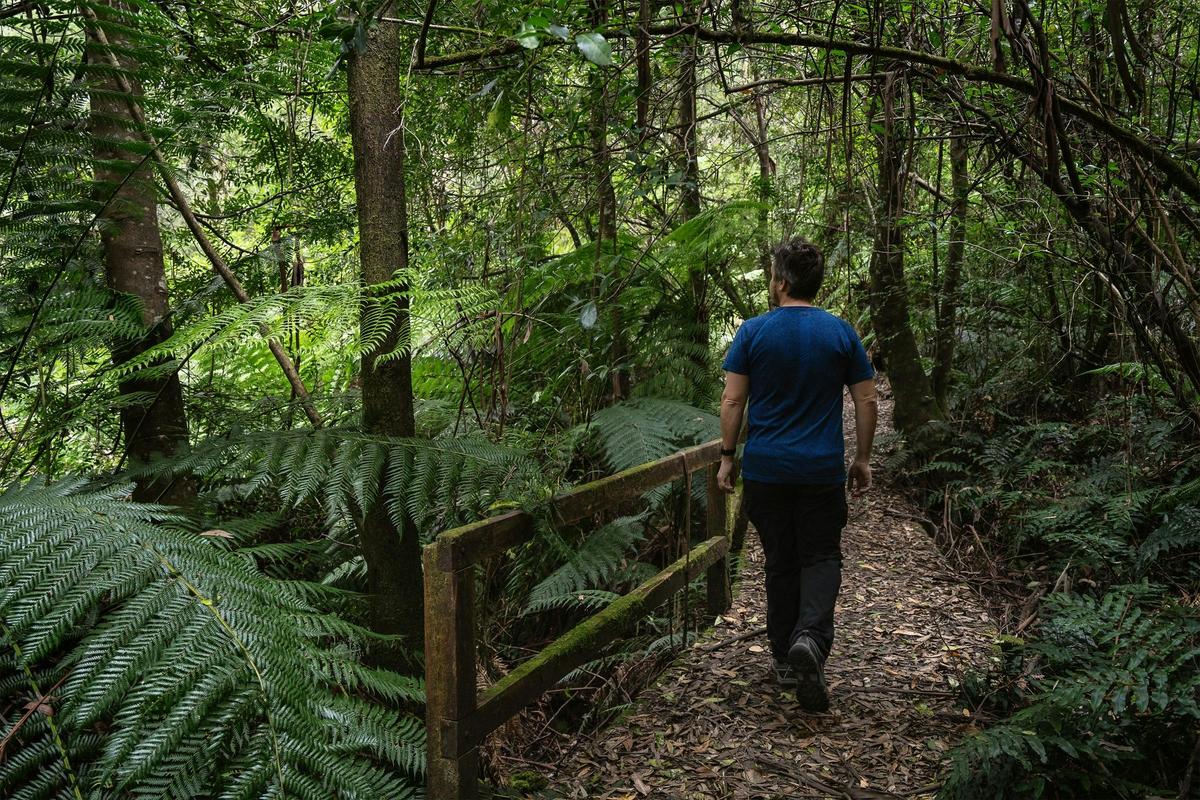 Tanglefoot Loop