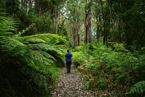 Tanglefoot Loop
