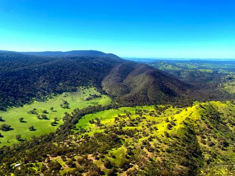 Tallarook State Forest