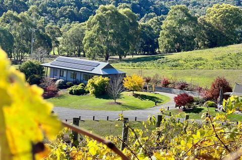 The Vineyard House