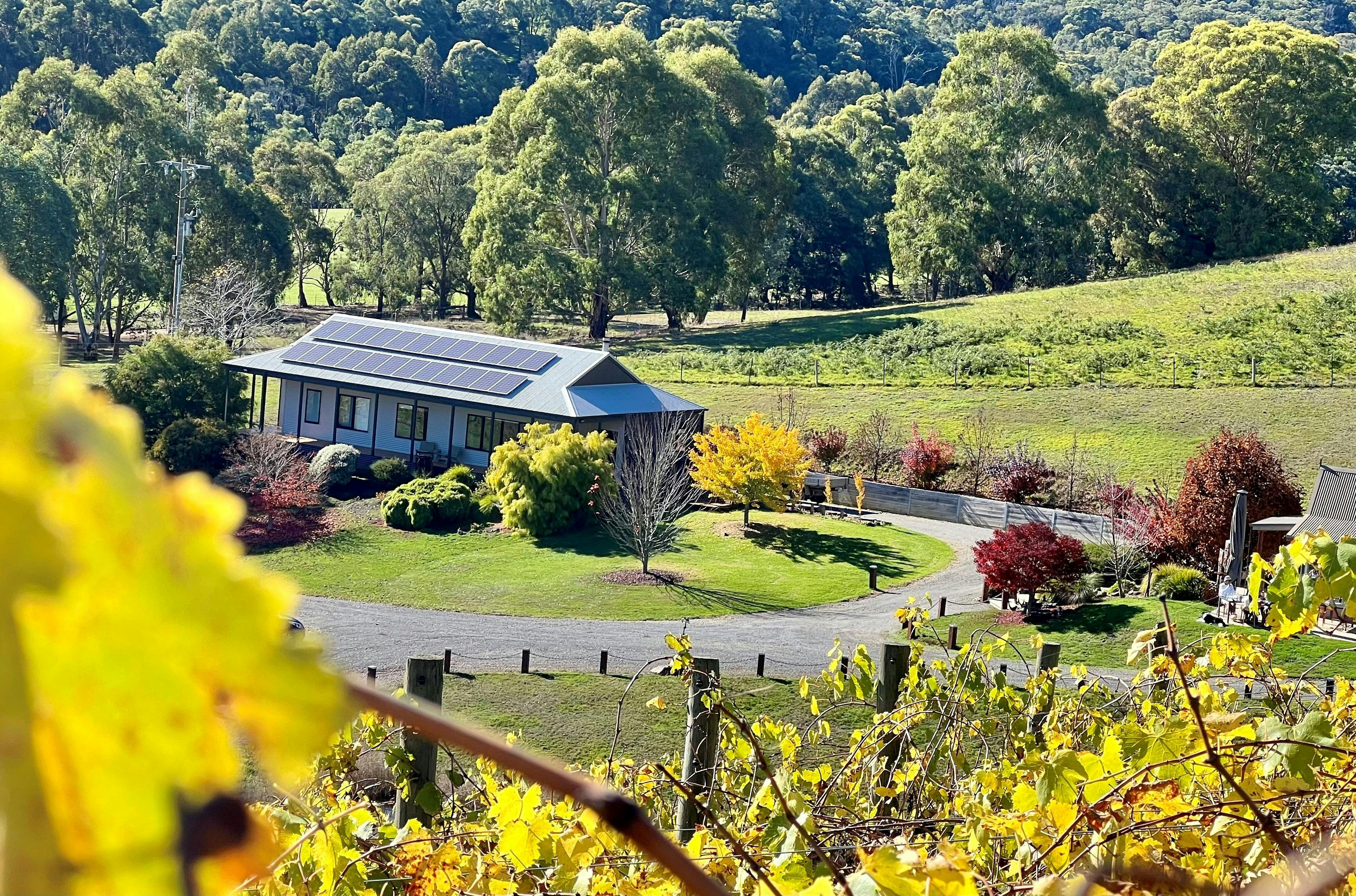 View of the Vineyard House from the Sangiovese Hill