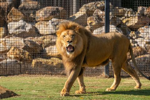 Hunter Valley Wildlife Park