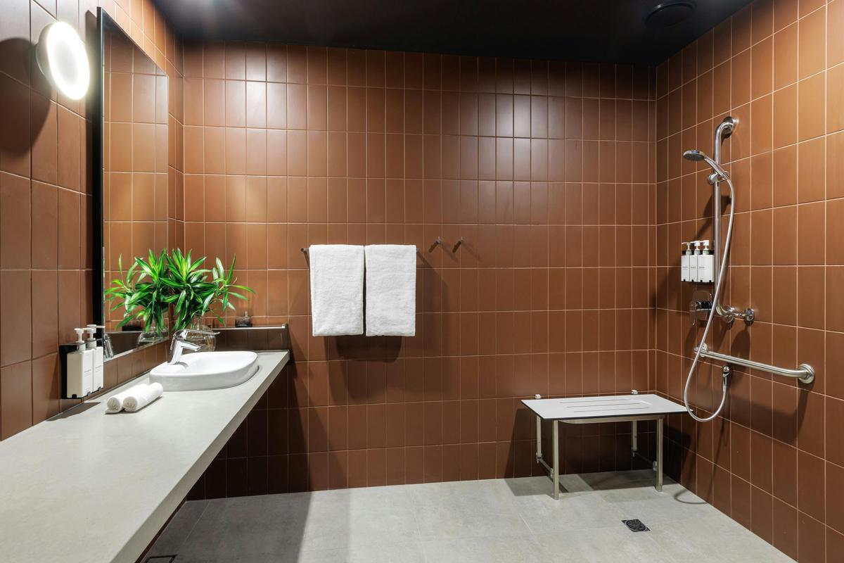 Accessible Room Bathroom