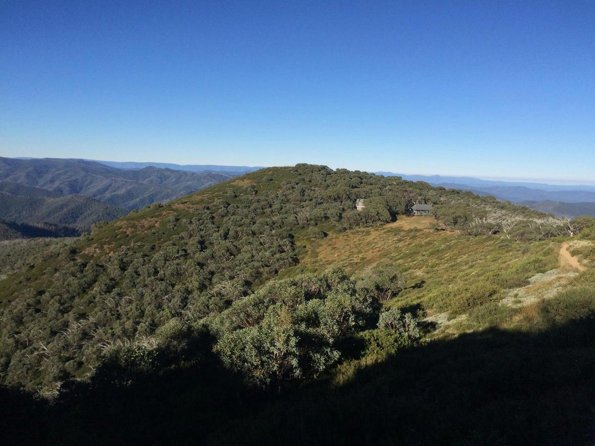 Morning light near Mt Feathertop