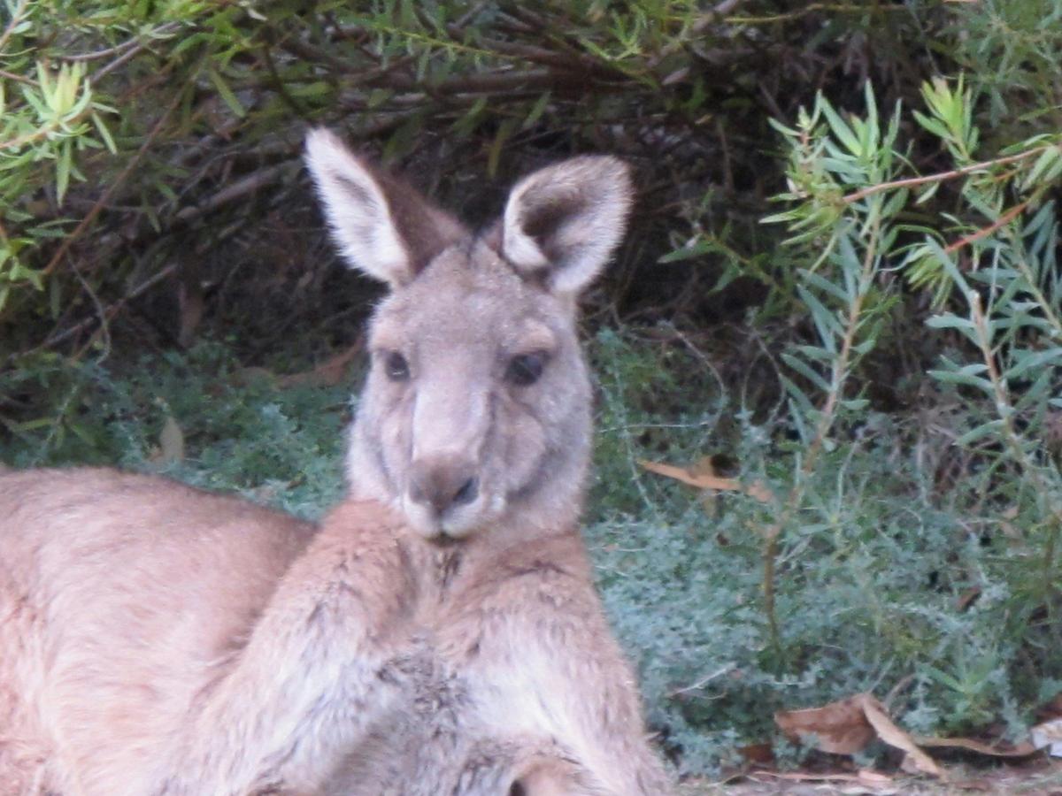 Grampians Victoria Australia