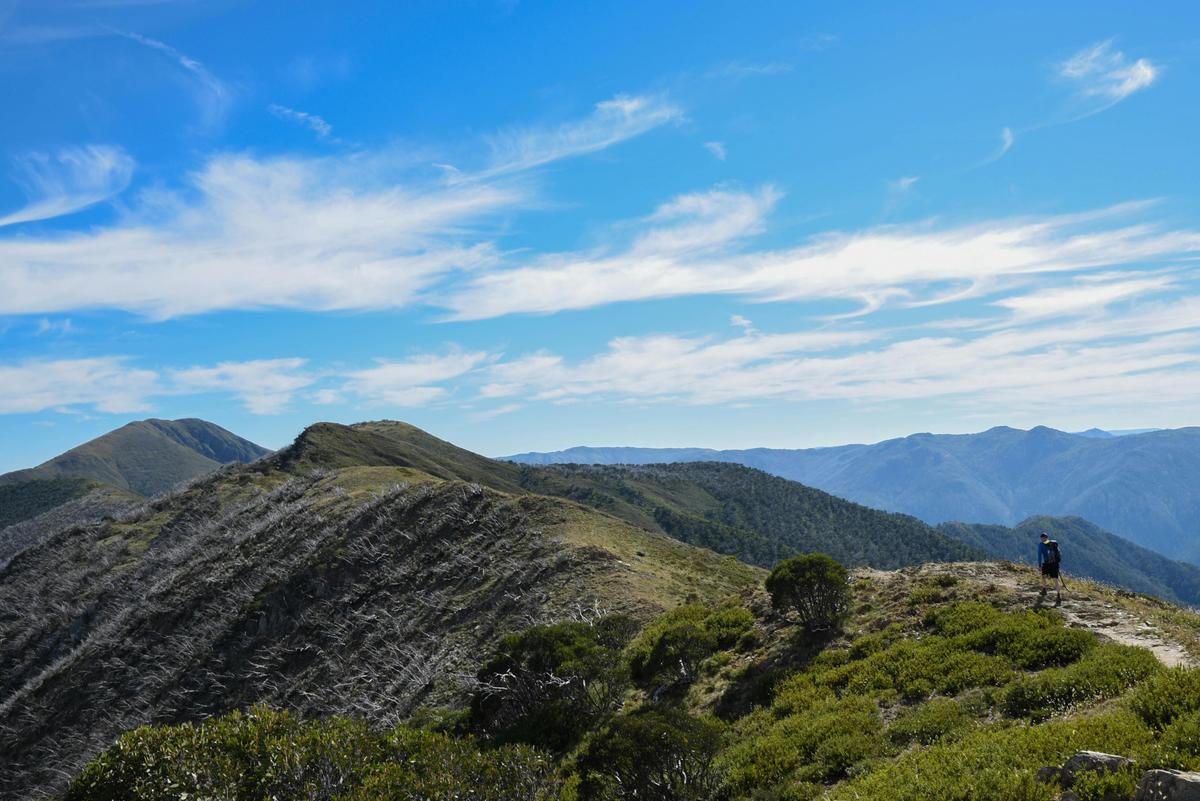Striding out along the Razorback