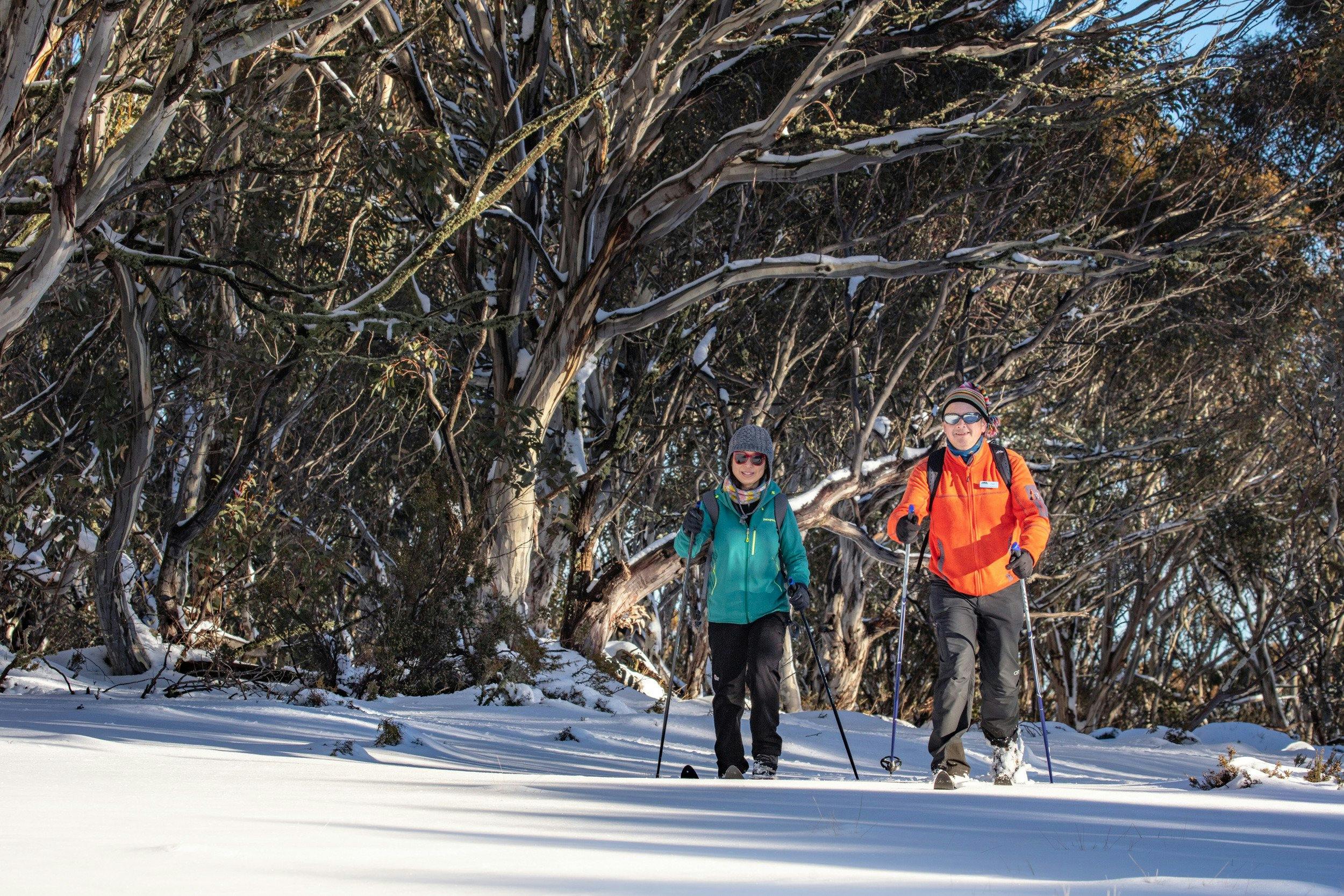 Cross country skiing - serenity