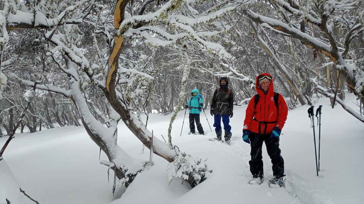 Immersed in a Winter Wonderland