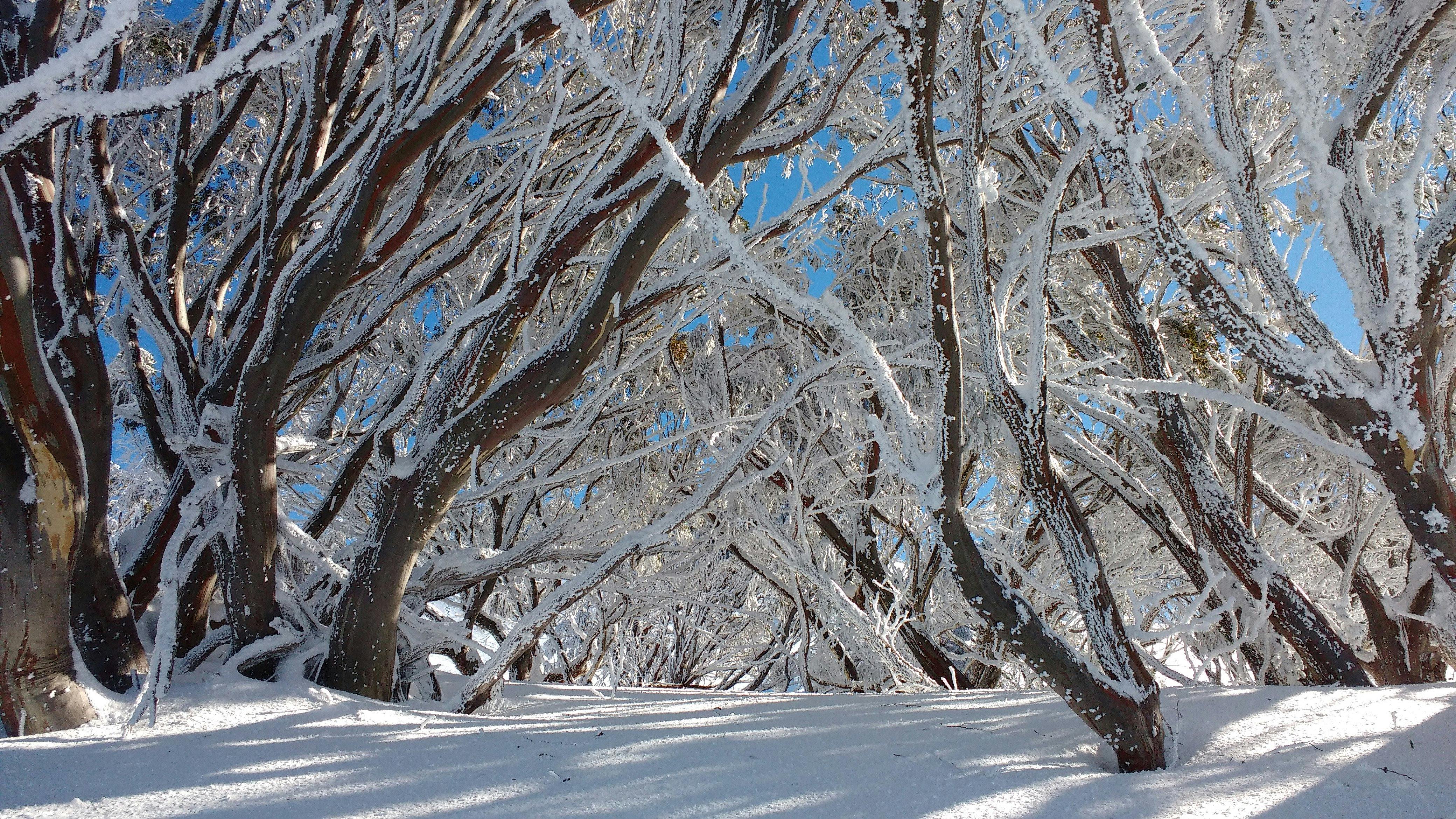 Get up close with nature