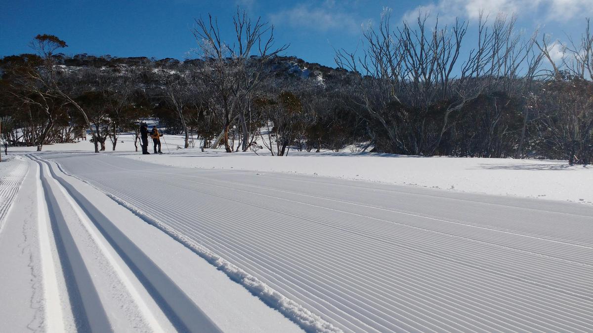 Freshly manicured XC trail