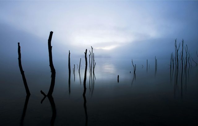 Jounama Creek Walking Track