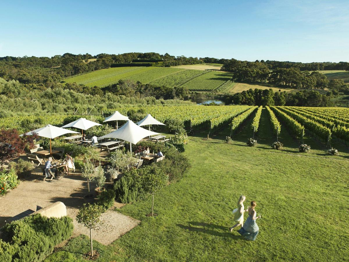 Montalto Vineyard, Mornington Peninsula