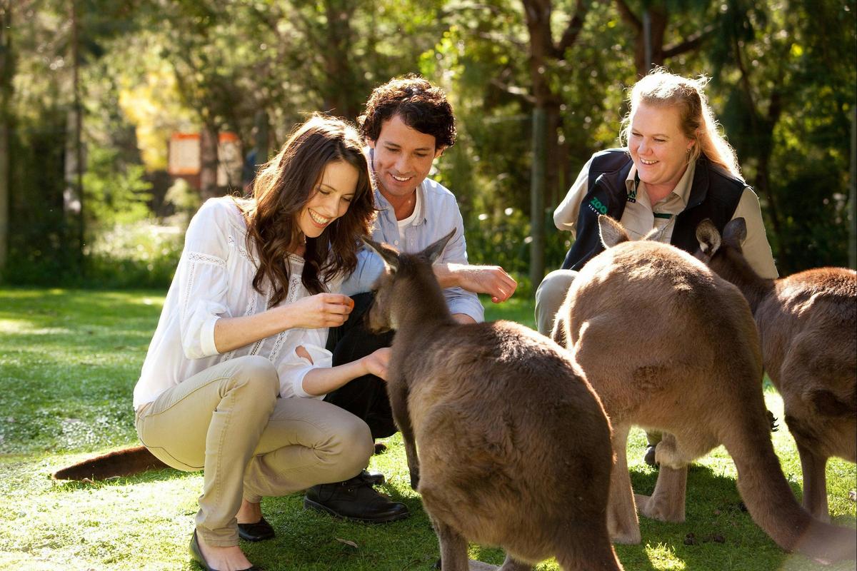 Healesville Sanctuary