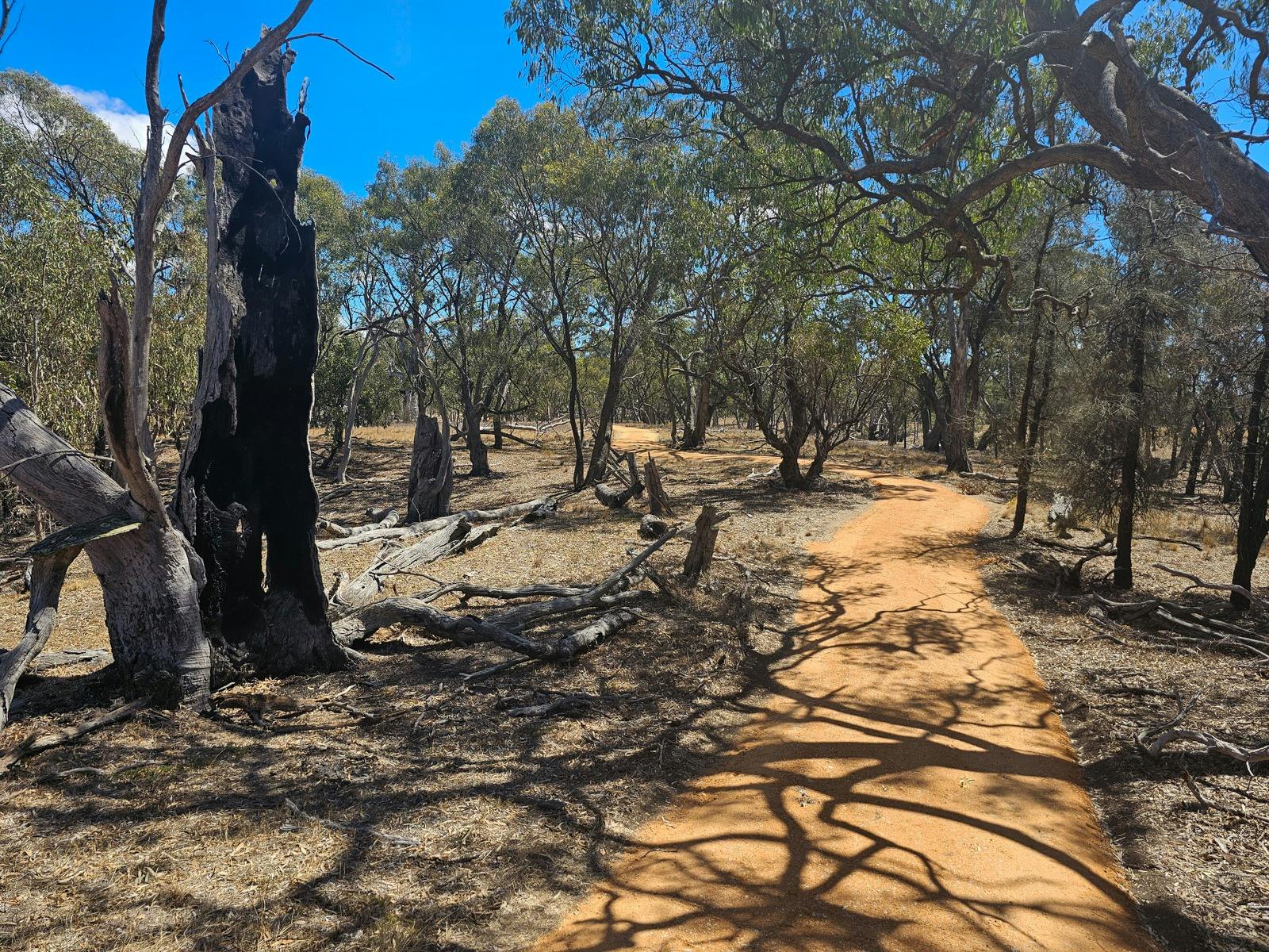 Wimmera River Discovery Trail near Antwerp