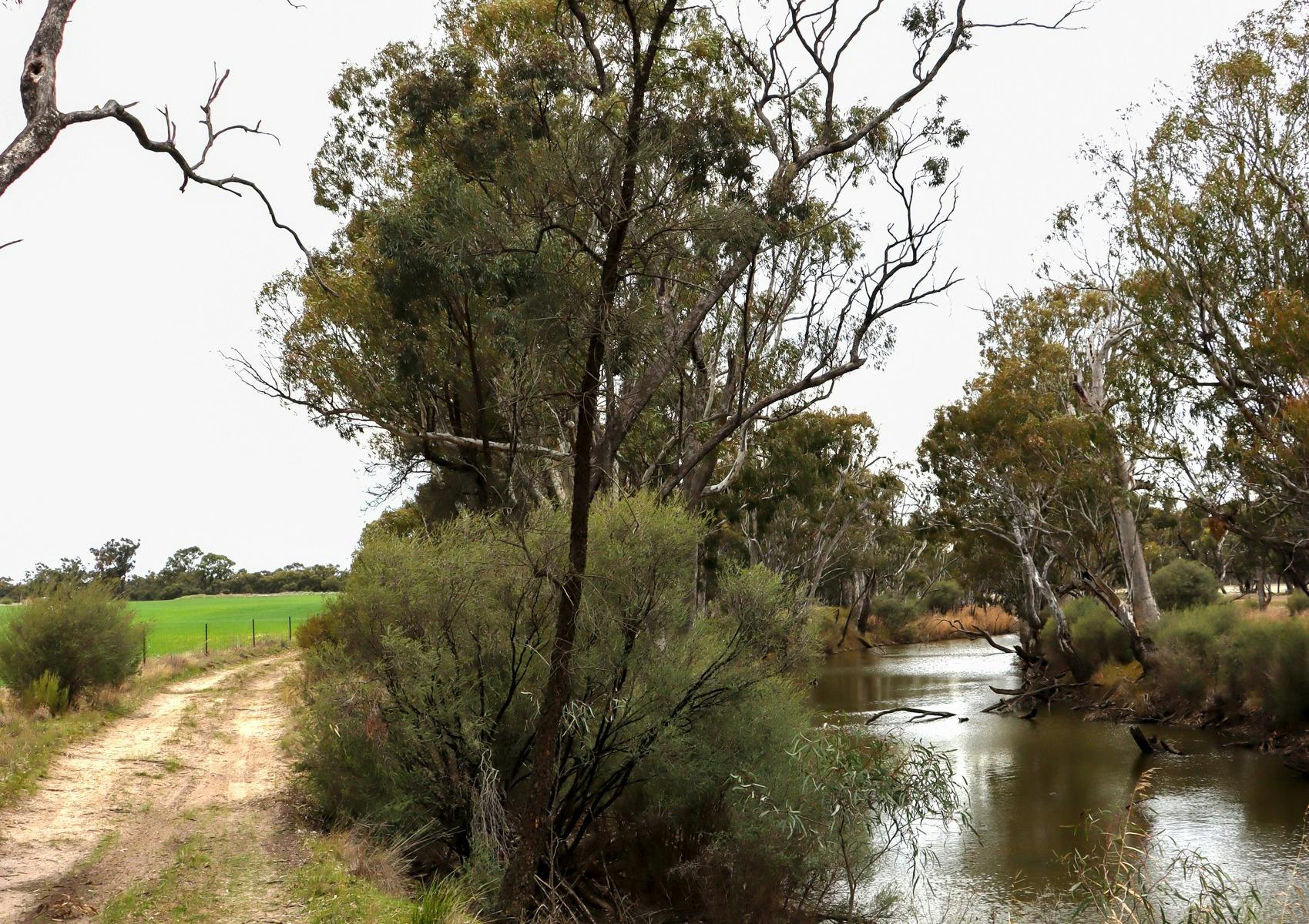 Wimmera River Discovery Trail near Spears Crossing