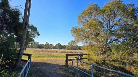Wangaratta Common Nature Conservation Reserve
