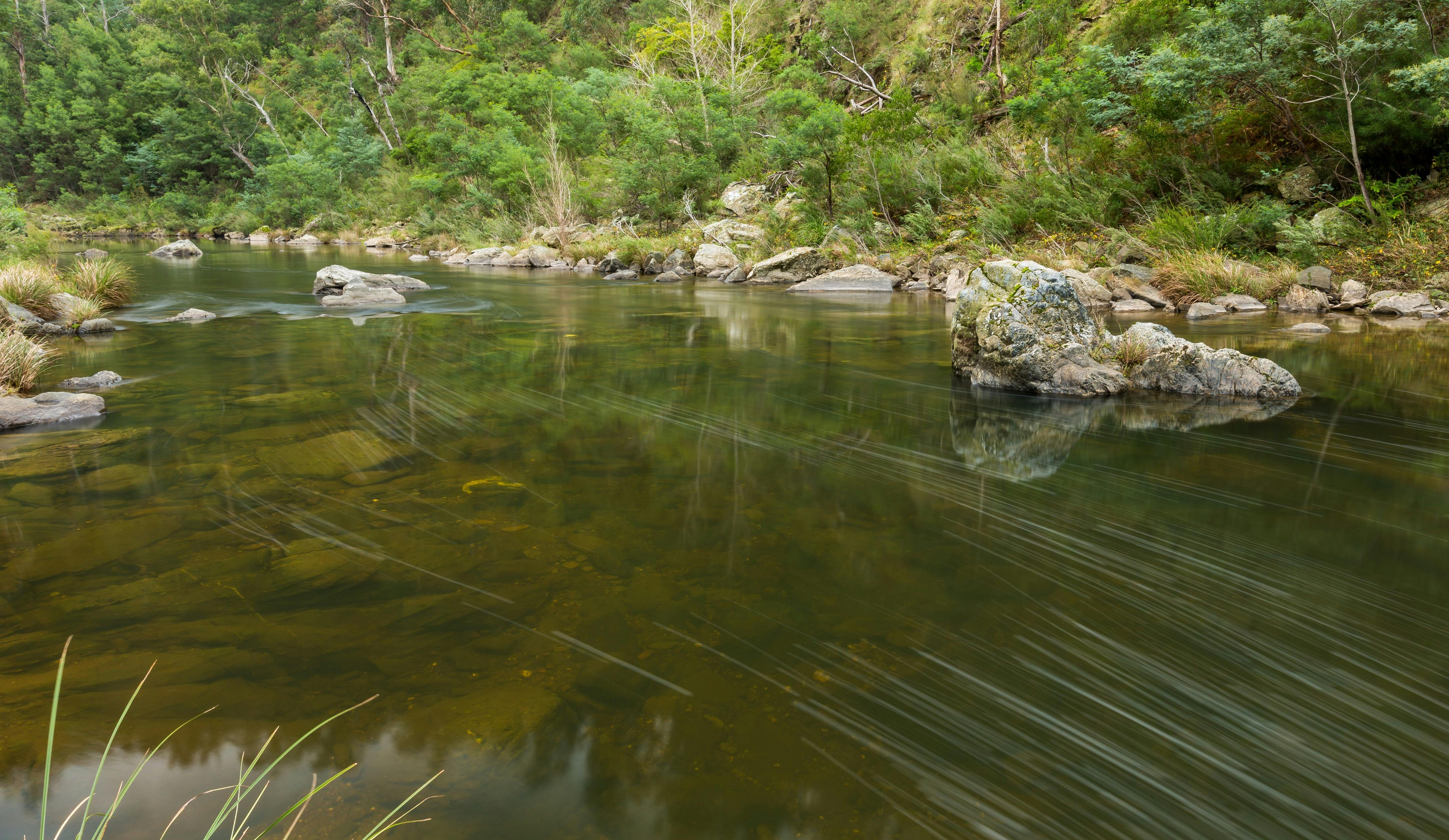 Water rushes down the Thomson River